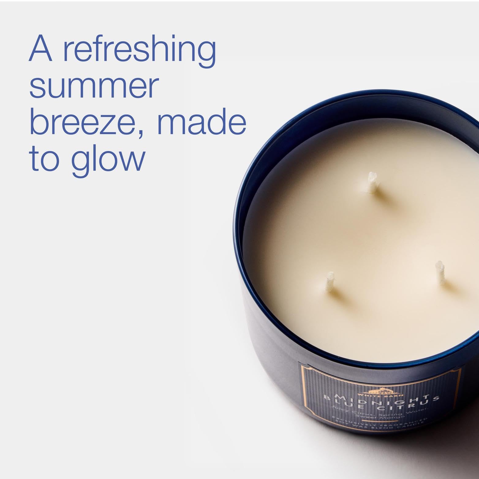 Amazon.com: Bath & Body Works Midnight Blue Citrus 3-Wick Candle